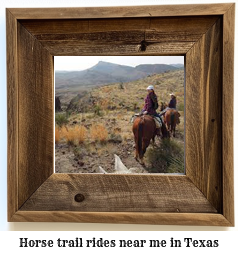 horse trail rides near me Texas